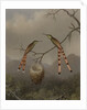 Two Hummingbirds with Their Young, c.1865 by Martin Johnson Heade