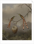 Two Hummingbirds with Their Young, c.1865 by Martin Johnson Heade