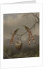 Two Hummingbirds with Their Young, c.1865 by Martin Johnson Heade