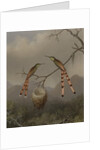 Two Hummingbirds with Their Young, c.1865 by Martin Johnson Heade