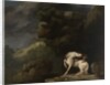 A Lion Attacking a Horse, 1770 by George Stubbs