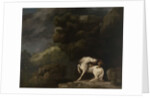 A Lion Attacking a Horse, 1770 by George Stubbs