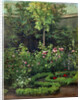 A Rose Garden, 1862 by Camille Pissarro