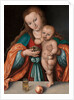 Madonna and Child, c.1535 by Lucas the Elder Cranach