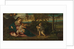 Madonna and Child and the Infant Saint John in a Landscape, 1540-50 by Polidoro Lanzani