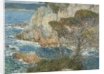 Point Lobos, Carmel, 1914 by Childe Frederick Hassam