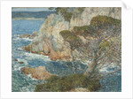 Point Lobos, Carmel, 1914 by Childe Frederick Hassam