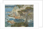 Point Lobos, Carmel, 1914 by Childe Frederick Hassam