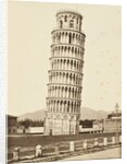 Campanile, Pisa, c.1850 by Alinari Fratelli