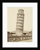 Campanile, Pisa, c.1850 by Alinari Fratelli