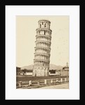 Campanile, Pisa, c.1850 by Alinari Fratelli