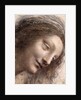 Head of Virgin, 1508-1512 by Leonardo da Vinci