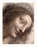 Head of Virgin, 1508-1512 by Leonardo da Vinci