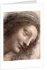 Head of Virgin, 1508-1512 by Leonardo da Vinci