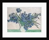 Irises, 1890 by Vincent van Gogh