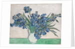 Irises, 1890 by Vincent van Gogh