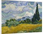 Wheat Field with Cypresses, 1889 by Vincent van Gogh