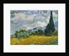 Wheat Field with Cypresses, 1889 by Vincent van Gogh