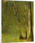 The Forest at Pontaubert, 1881 by Georges Pierre Seurat