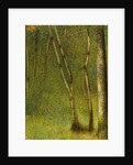 The Forest at Pontaubert, 1881 by Georges Pierre Seurat