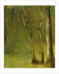 The Forest at Pontaubert, 1881 by Georges Pierre Seurat
