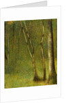 The Forest at Pontaubert, 1881 by Georges Pierre Seurat