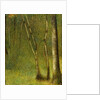 The Forest at Pontaubert, 1881 by Georges Pierre Seurat