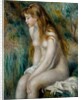 Young Girl Bathing, 1892 by Pierre Auguste Renoir