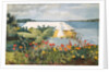 Flower Garden and Bungalow, Bermuda, 1899 by Winslow Homer
