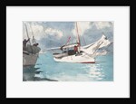 Fishing Boats, Key West, 1903 by Winslow Homer