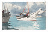 Fishing Boats, Key West, 1903 by Winslow Homer