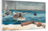Nassau, 1899 by Winslow Homer