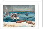Nassau, 1899 by Winslow Homer