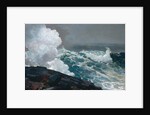 Northeaster, 1895 by Winslow Homer