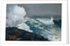 Northeaster, 1895 by Winslow Homer