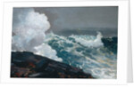 Northeaster, 1895 by Winslow Homer
