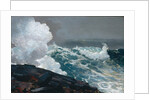 Northeaster, 1895 by Winslow Homer