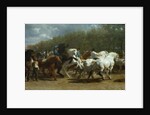 The Horse Fair, 1852-55 by Rosa Bonheur
