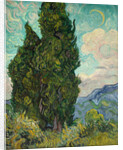 Cypresses, 1889 by Vincent van Gogh