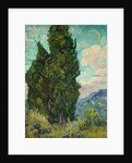 Cypresses, 1889 by Vincent van Gogh
