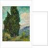 Cypresses, 1889 by Vincent van Gogh