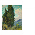 Cypresses, 1889 by Vincent van Gogh