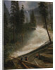 Nevada Falls, Yosemite, 1872 or 1873 by Albert Bierstadt
