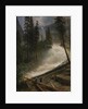 Nevada Falls, Yosemite, 1872 or 1873 by Albert Bierstadt