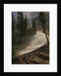 Nevada Falls, Yosemite, 1872 or 1873 by Albert Bierstadt
