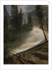 Nevada Falls, Yosemite, 1872 or 1873 by Albert Bierstadt