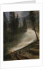 Nevada Falls, Yosemite, 1872 or 1873 by Albert Bierstadt