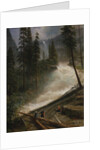 Nevada Falls, Yosemite, 1872 or 1873 by Albert Bierstadt