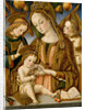 Madonna and Child with Two Angels, c.1481-82 by Vittorio Crivelli