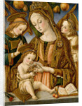 Madonna and Child with Two Angels, c.1481-82 by Vittorio Crivelli